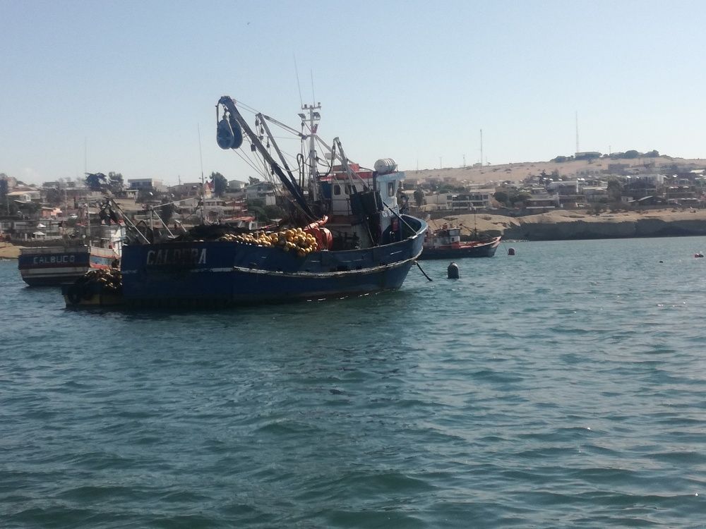 Barcos