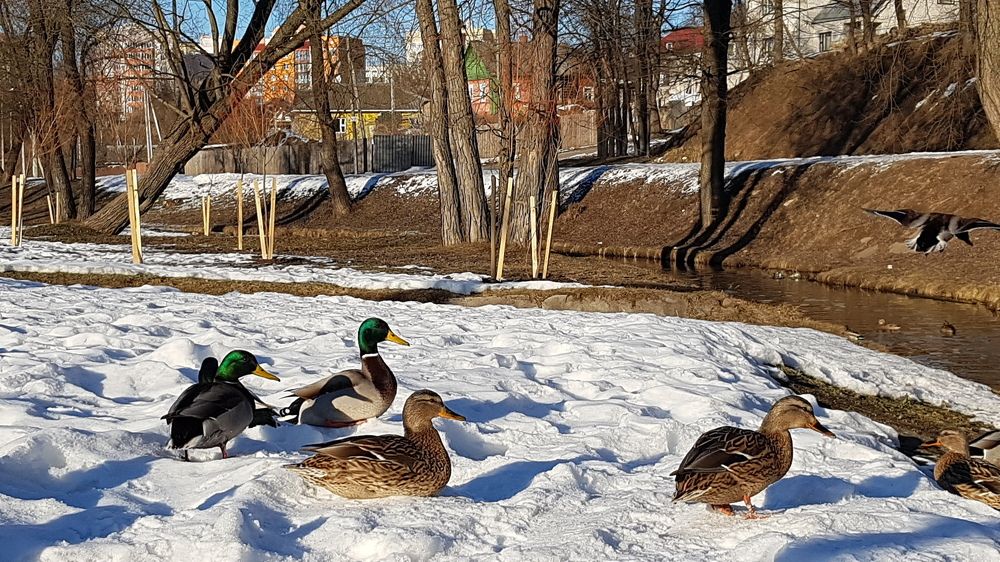 Место зимовки.