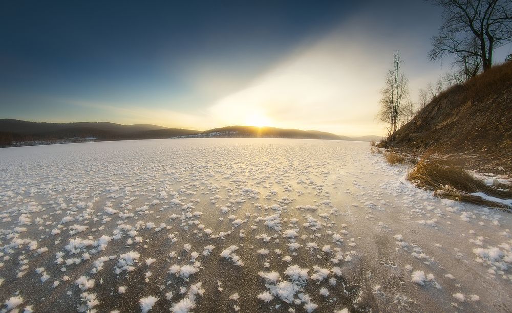 Ледяные цветы