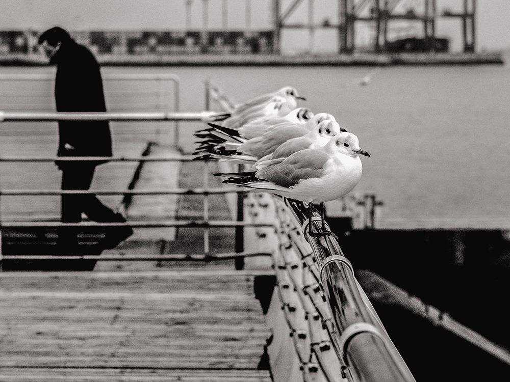 Photograph by Анна Шац