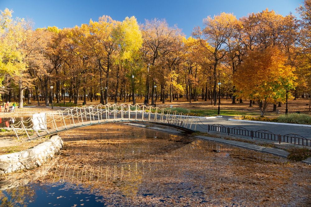 мостик в осень