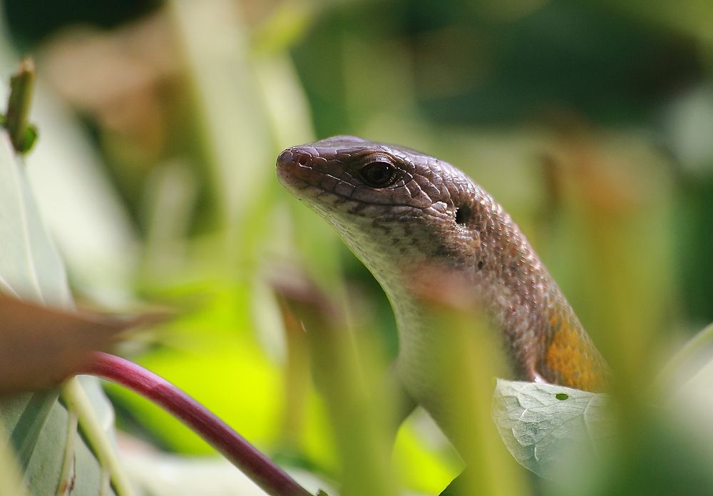 Looking interest whom