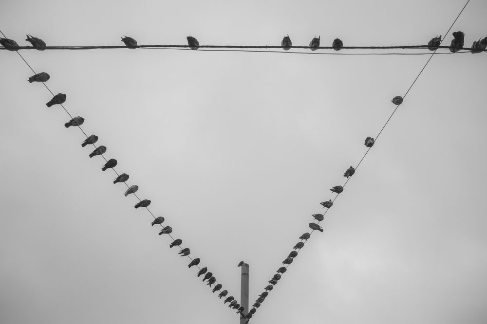 Triangle.