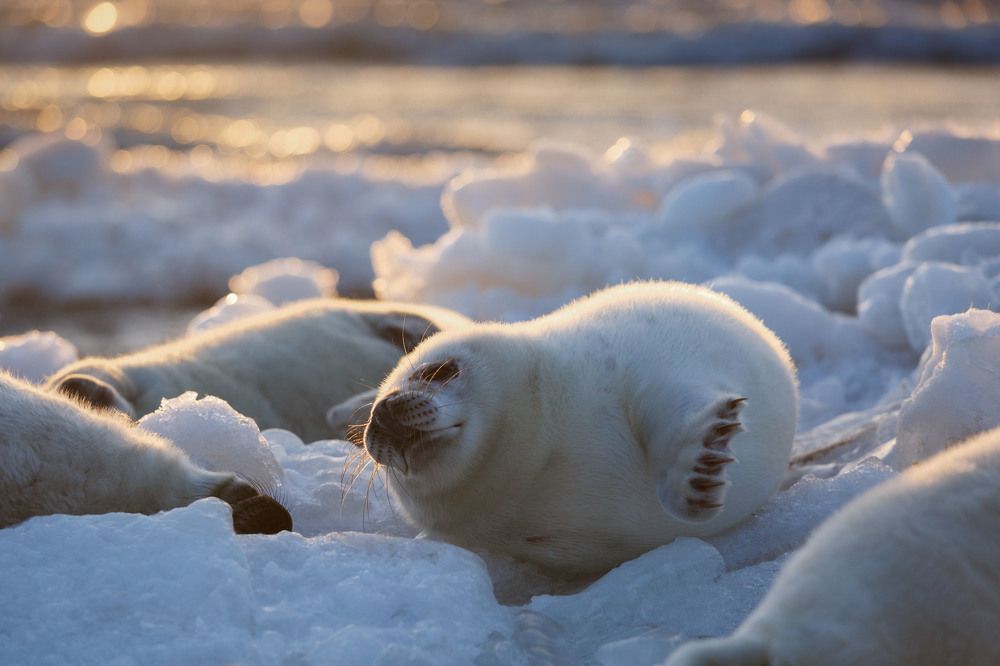 Photograph by Julija Lurina