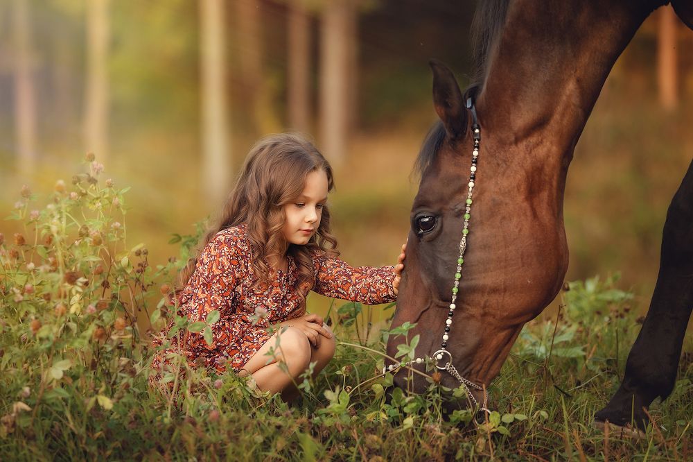 Взаимное доверие