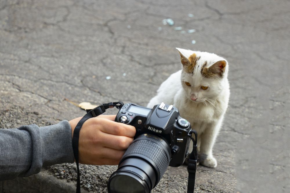 Photograph by  Hooman Beigi