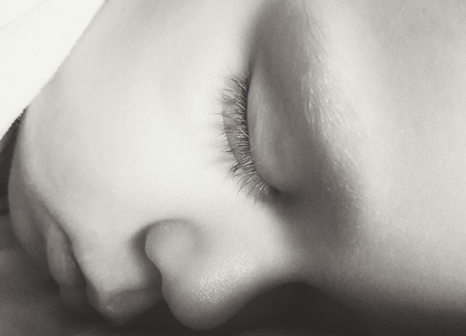 Photo #3083606