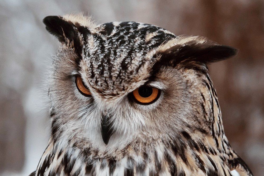 Photograph by Ольга Быкова