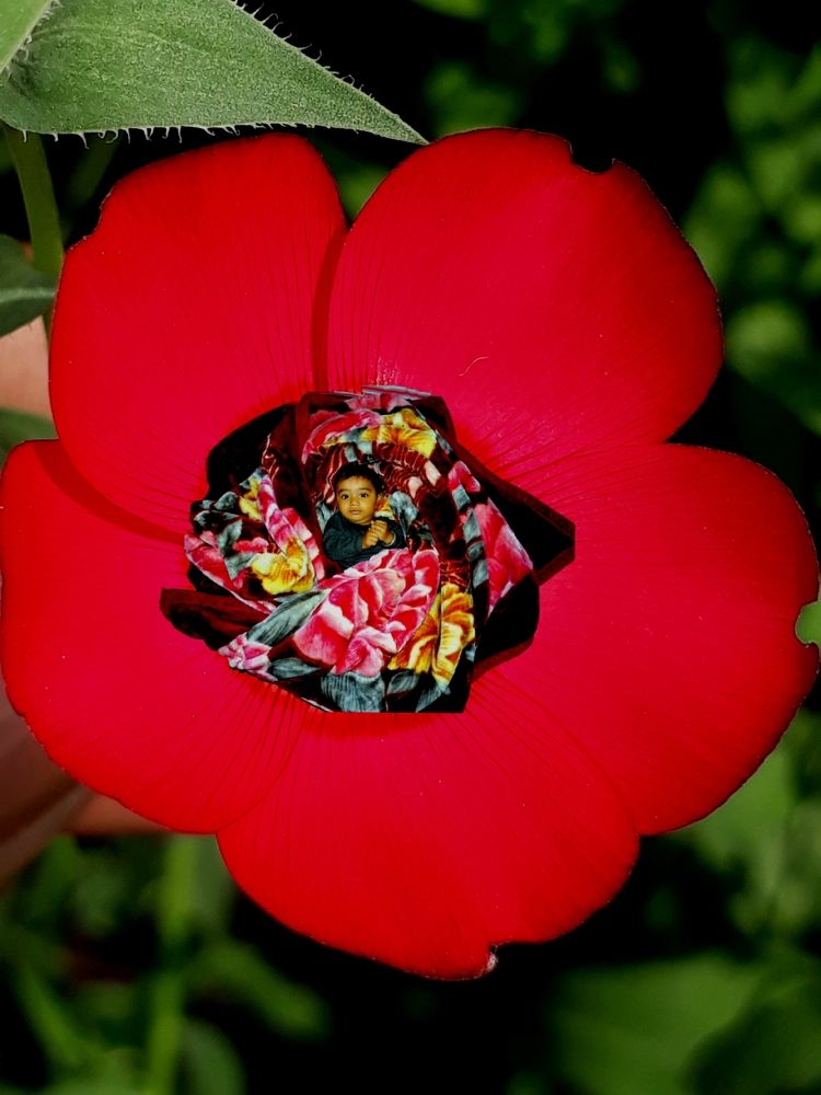 Baby on flower