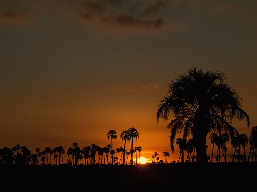 Atardecer en el Palmar