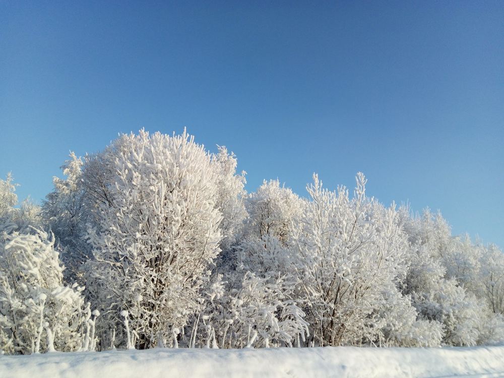 Photograph by Anna Makogonova