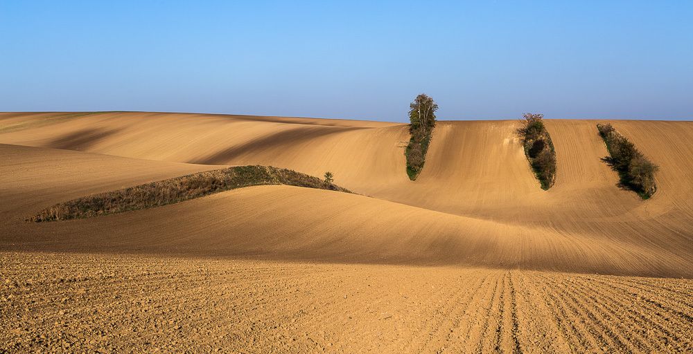 Photograph by Eriks Zilbalodis