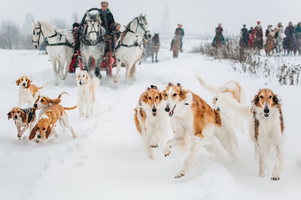 Барские забавы
