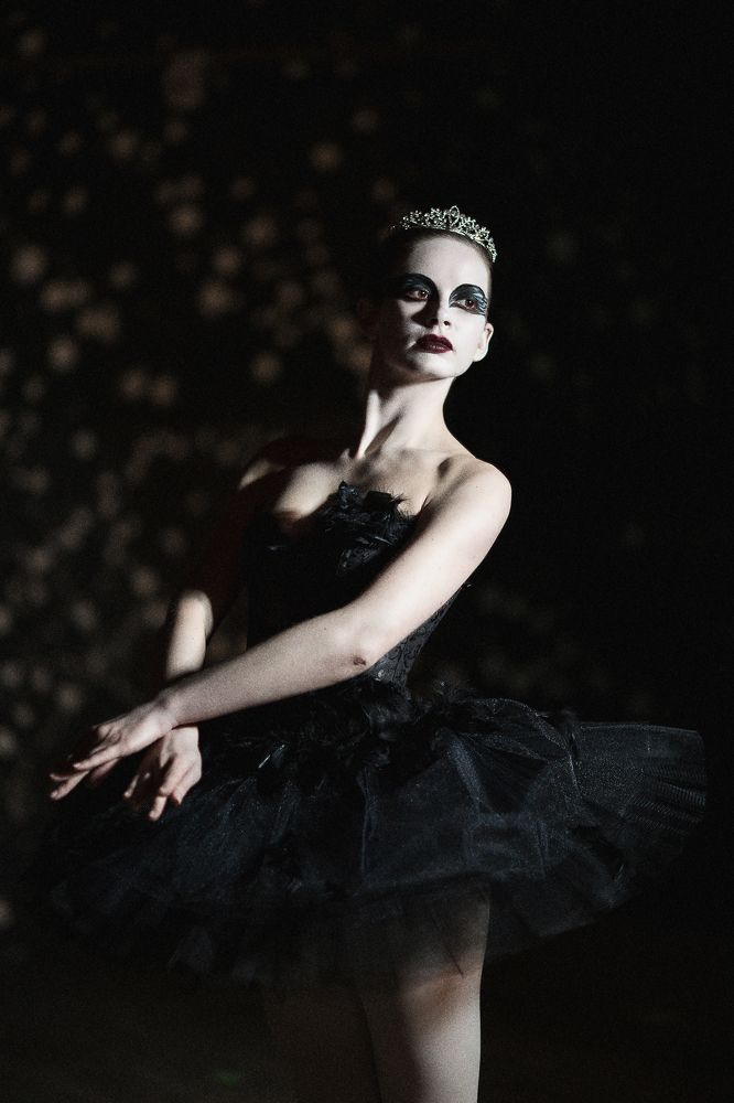 Черный лебедь 2