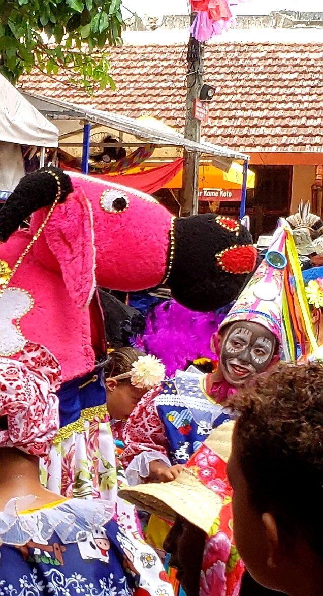 O menino e o boi de Carnaval