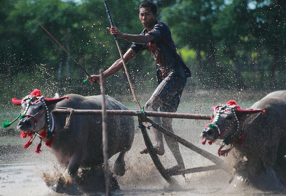 A metres to get finishing the game