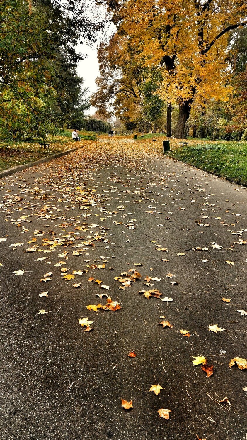 Golden autumn in Kyiv