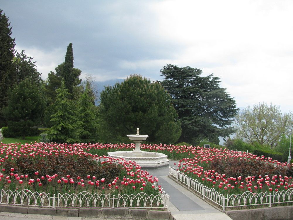 Тюльпаны у Ливадийского дворца