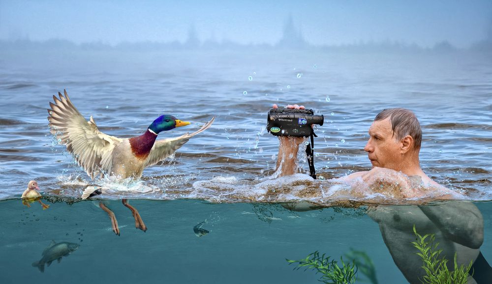 Видео охота