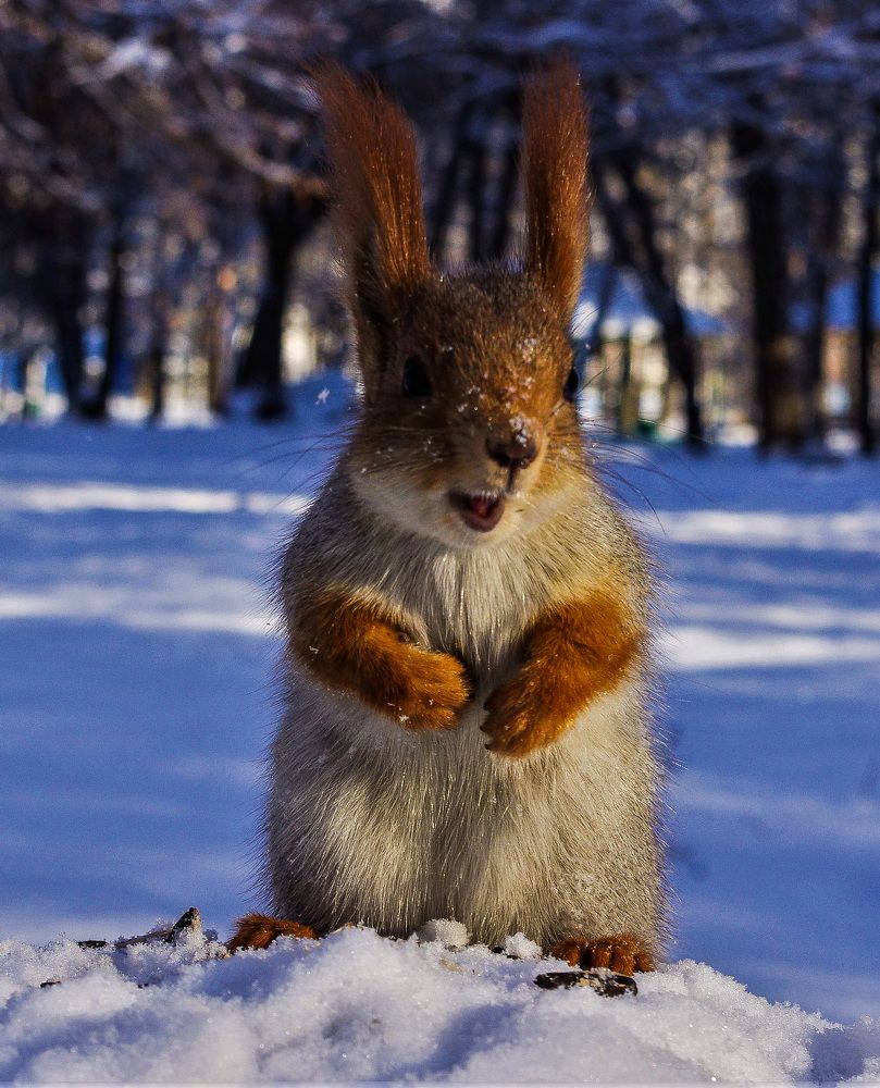 фотомодель