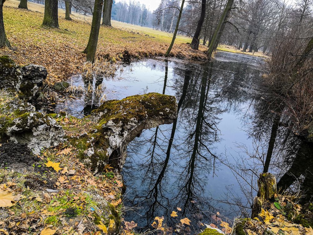 Reflection in the water