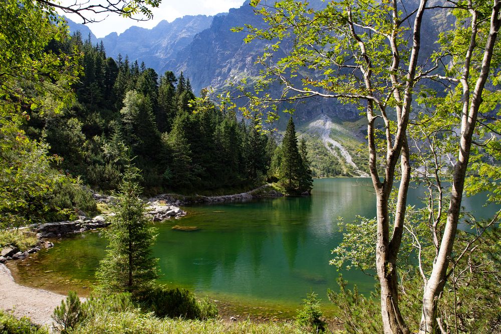 Photograph by Вера Лазарева