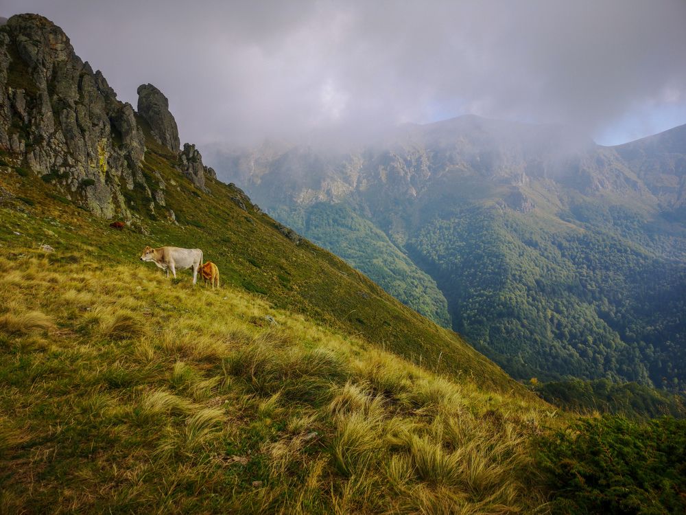 Болгария, Стара планина