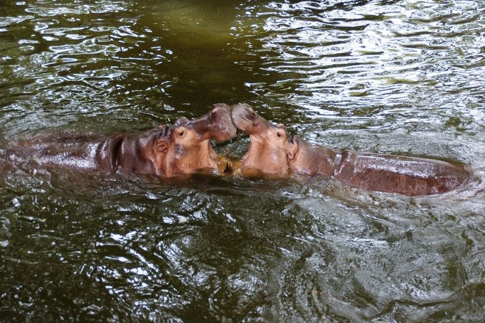 вот она любовь