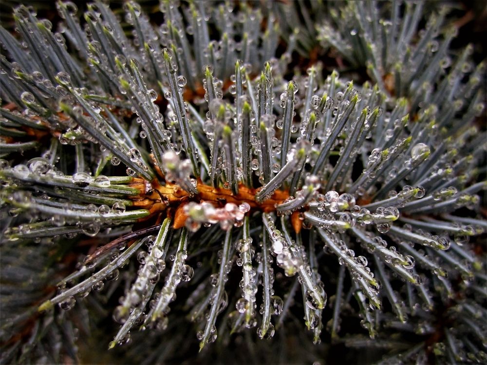 Photograph by Anna Makogonova