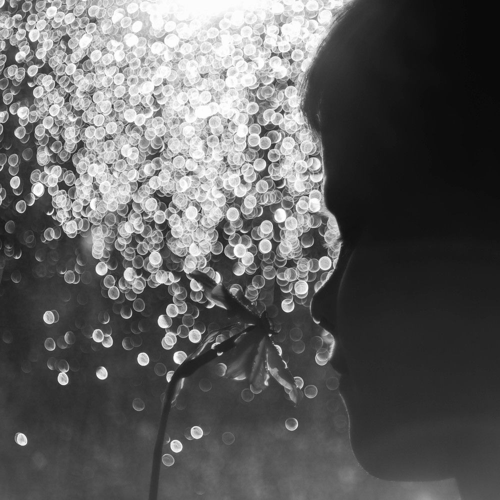 солнечный зайчик