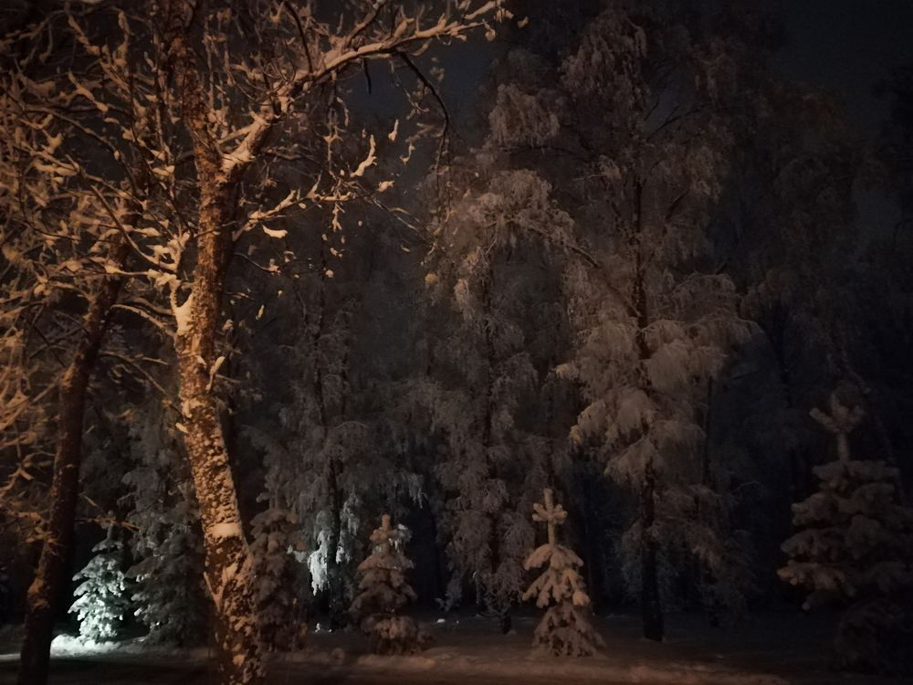 Берендеев лес