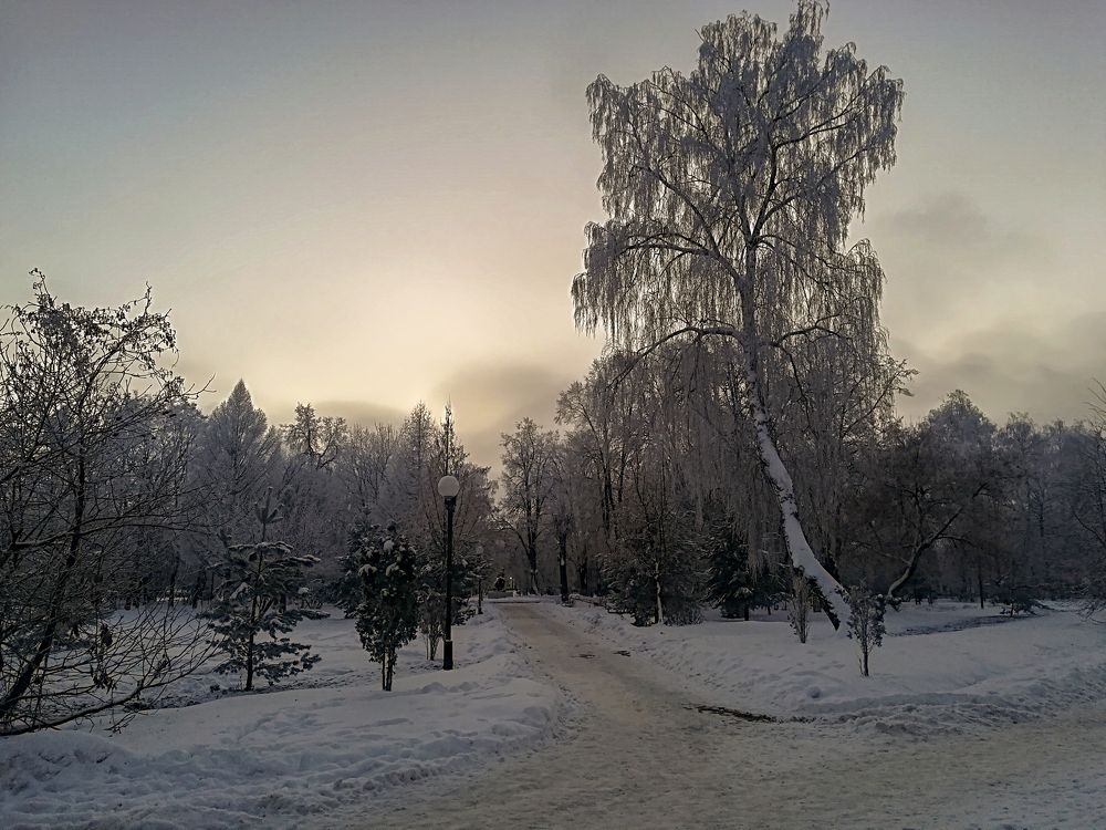 Морозный вечер