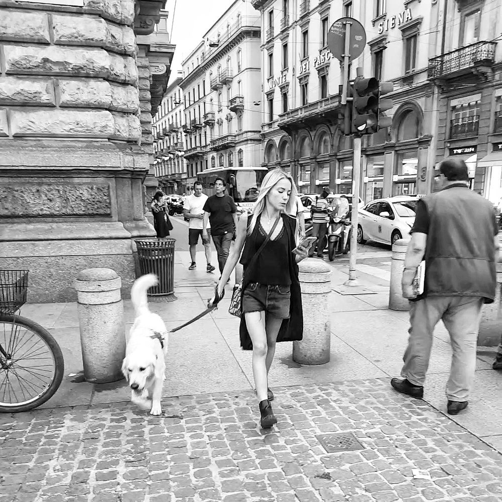 The fashion and the dog