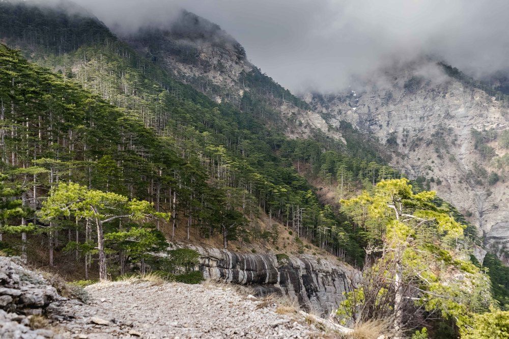 дорога в горы