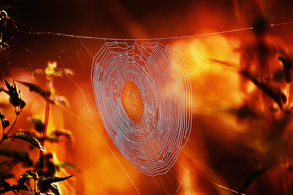 Фотография автора Игорь Иванов