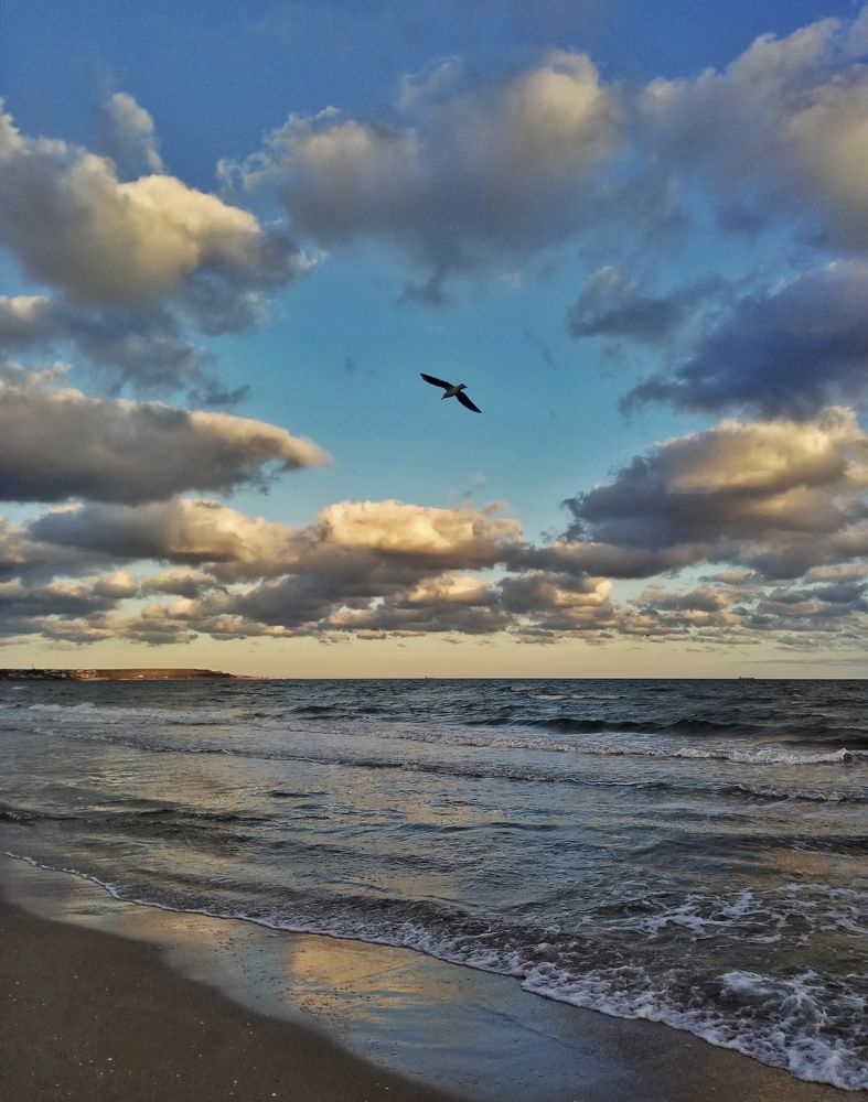 Гордо реет...