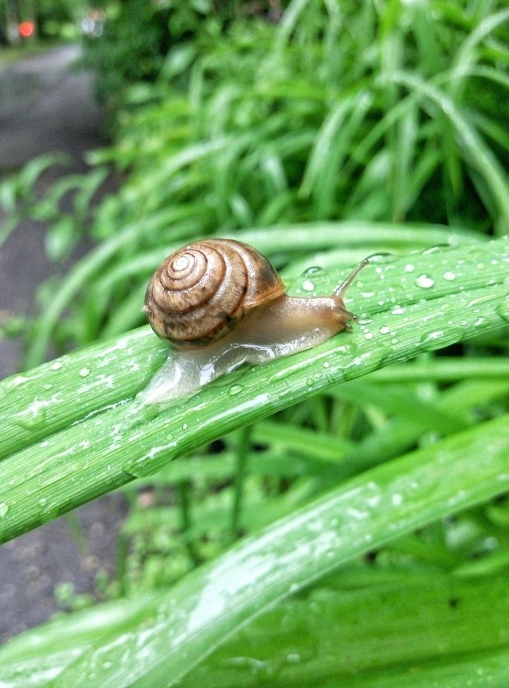 Тише едешь - дальше будешь!