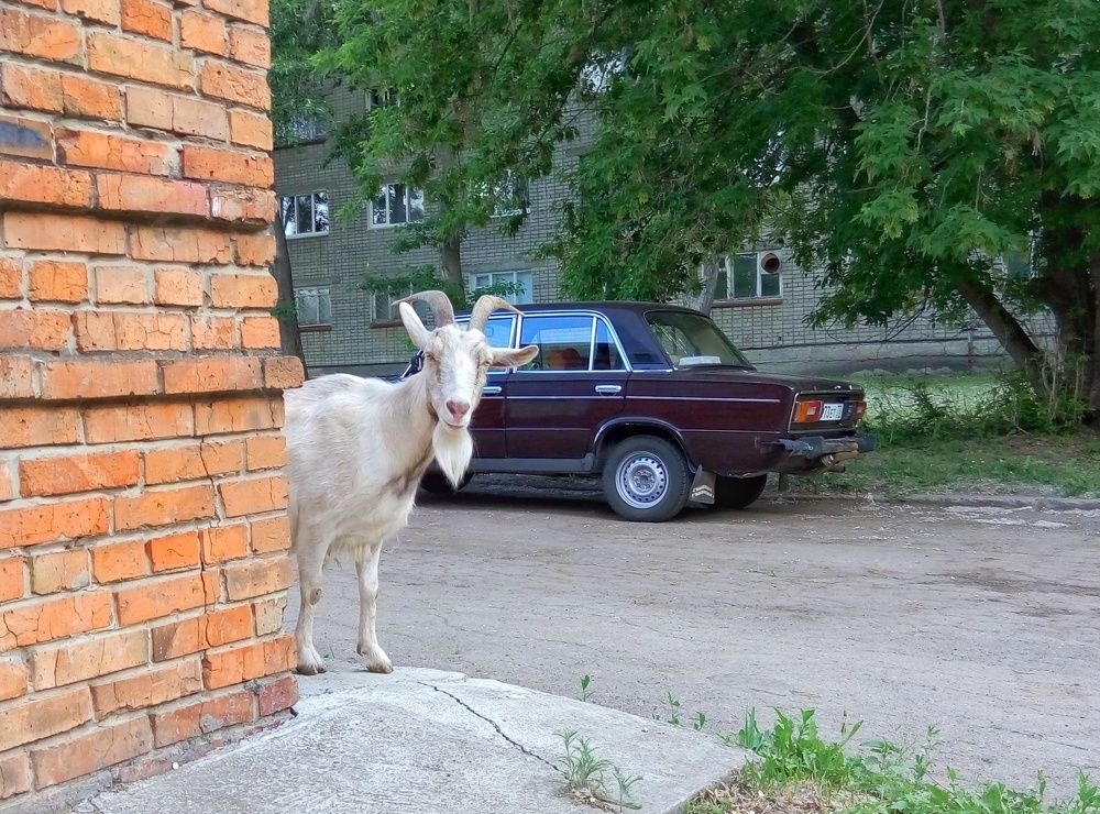 Мы подошли из-за угла