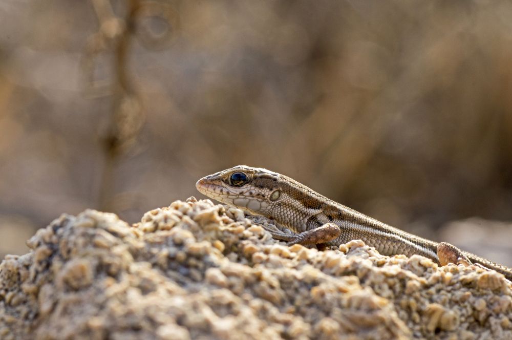 Photograph by Глеб Коровко