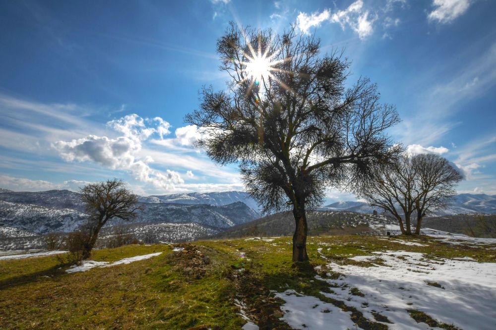 Photograph by Adl Abdolahi