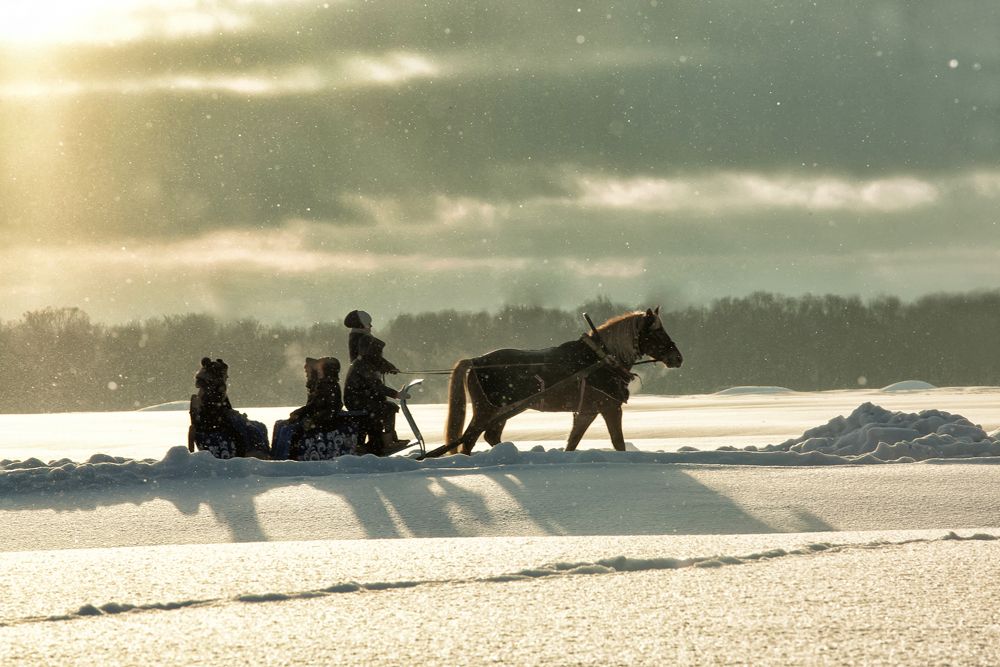 В лунном сиянье снег серебрится ...