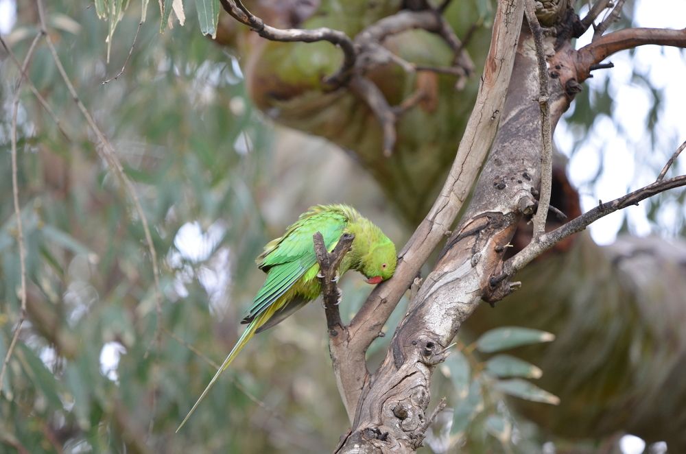 Photograph by Denis Kualigin