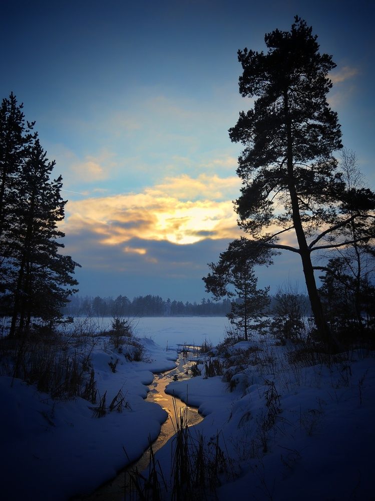 Вечер зимний.