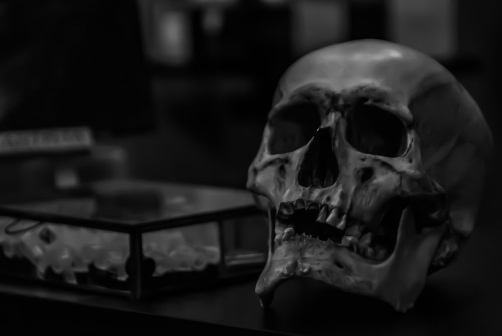 Photograph by Павел Стаценко