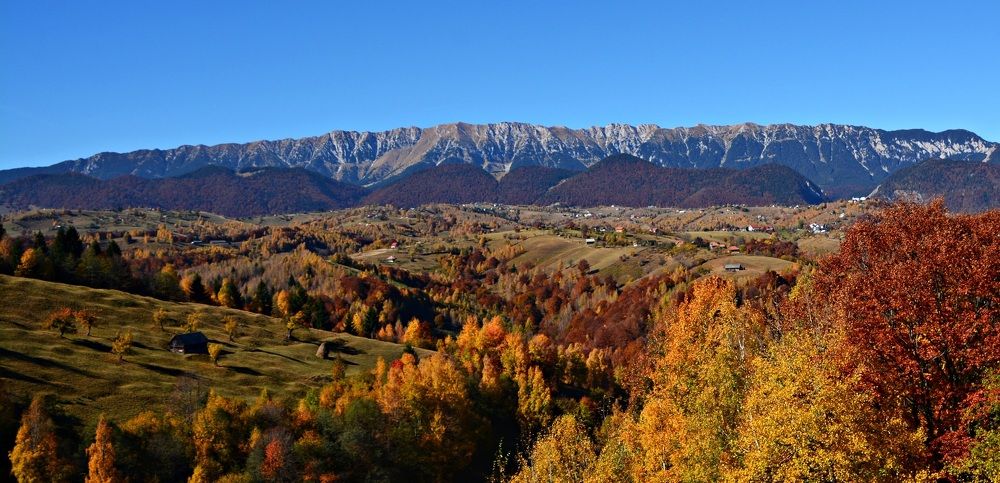 Photograph by Bocse Angela - Codrina