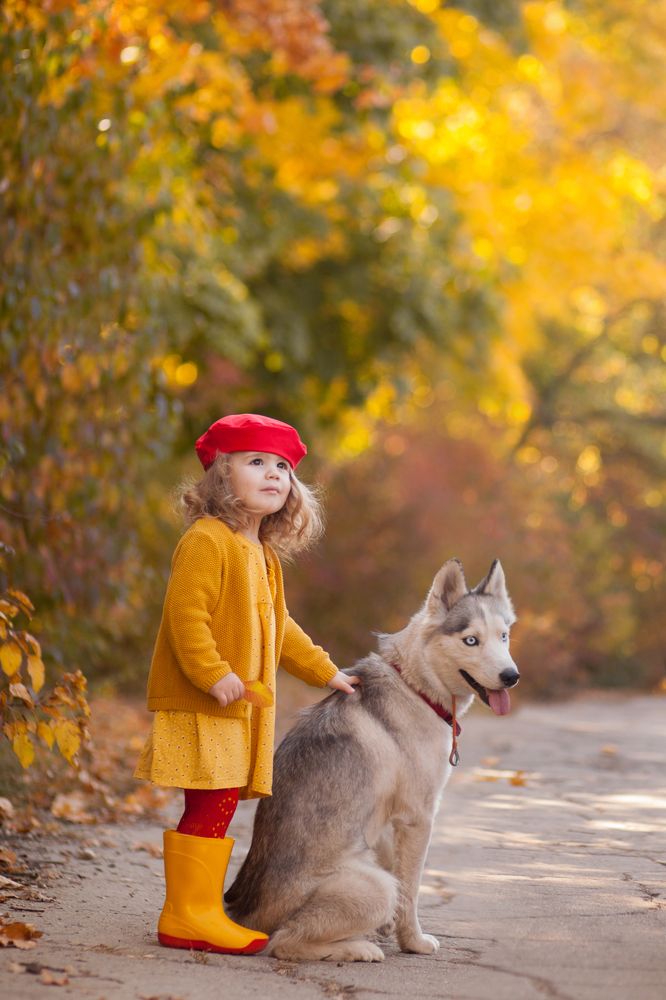 красная шапочка и серый волк