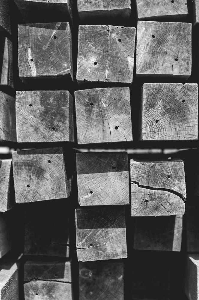 Photograph by Gabriele Radaviciute