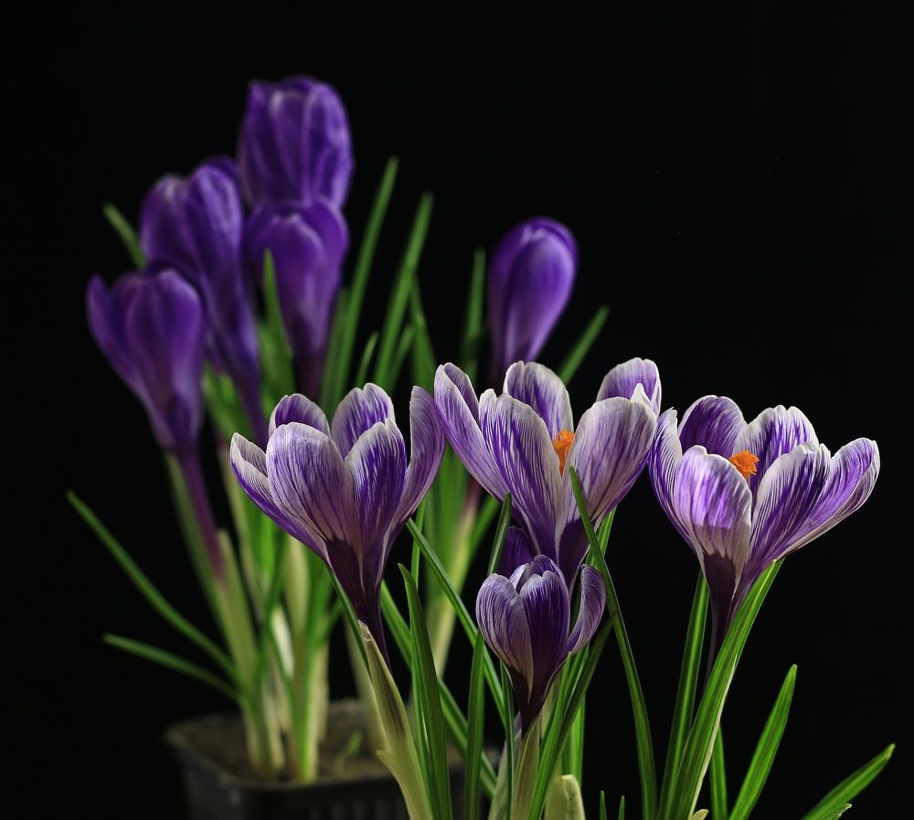 Photograph by Игорь Куленко