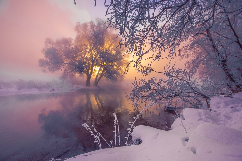 Photograph by Светлана Позднякова