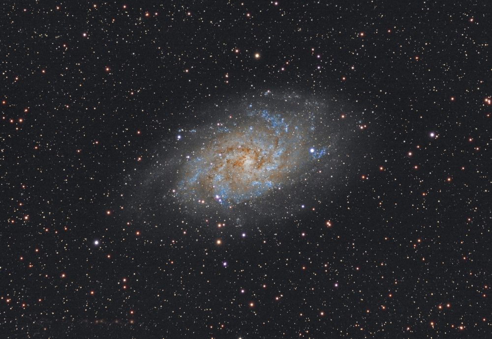 M33